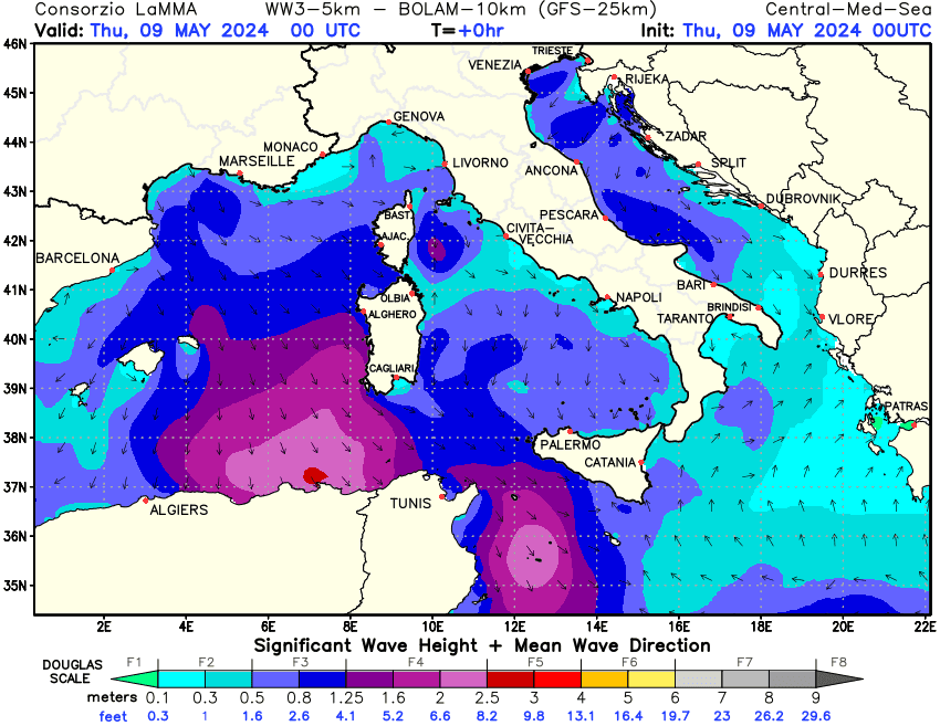 Previsione altezza e direzione media dell'onda sul Mediterraneo Centrale