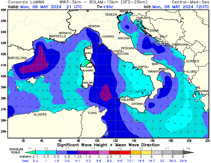 Previsione altezza e direzione media dell'onda sul Mediterraneo Centrale +09h