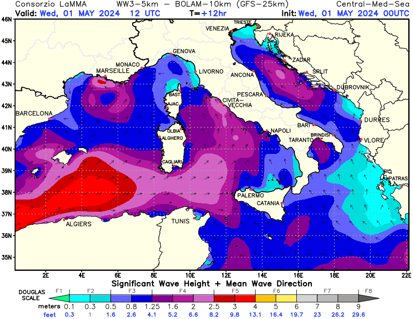 Previsione altezza e direzione media dell'onda sul Mediterraneo Centrale +12h