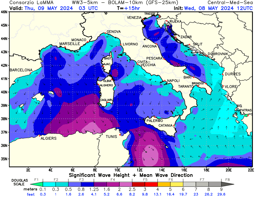 Previsione altezza e direzione media dell'onda sul Mediterraneo Centrale +15h