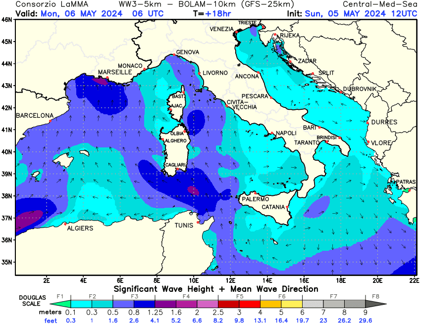 Previsione altezza e direzione media dell'onda sul Mediterraneo Centrale +18h