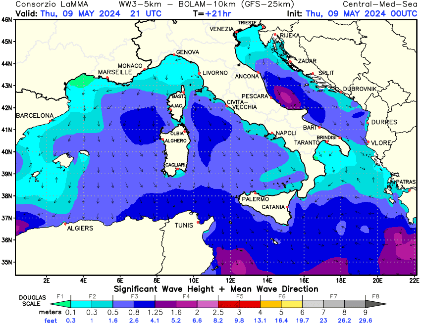Previsione altezza e direzione media dell'onda sul Mediterraneo Centrale +21h
