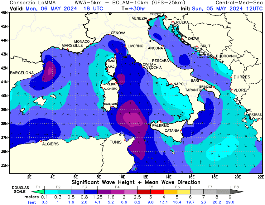 Previsione altezza e direzione media dell'onda sul Mediterraneo Centrale +30h