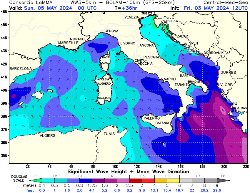 Previsione altezza e direzione media dell'onda sul Mediterraneo Centrale +36h