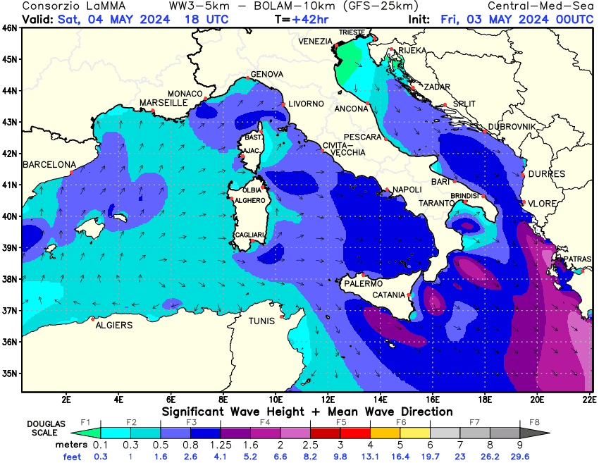 Previsione altezza e direzione media dell'onda sul Mediterraneo Centrale +42h