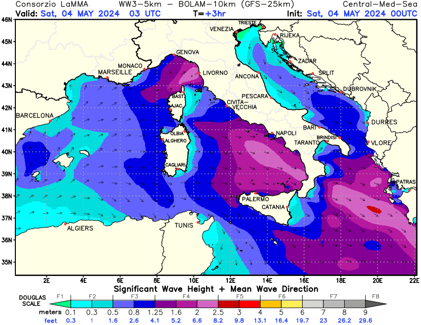 Previsione altezza e direzione media dell'onda sul Mediterraneo Centrale +03h