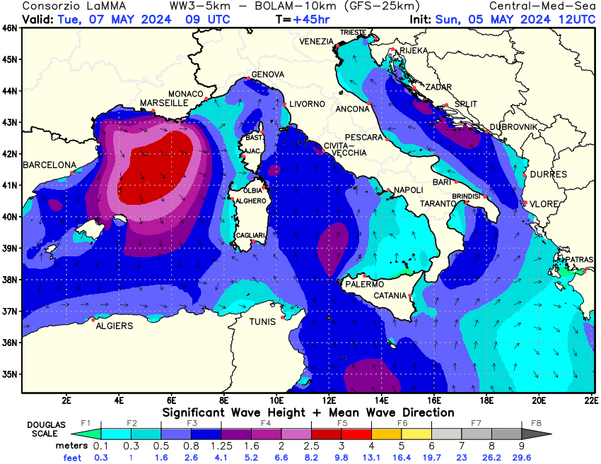 Previsione altezza e direzione media dell'onda sul Mediterraneo Centrale +45h