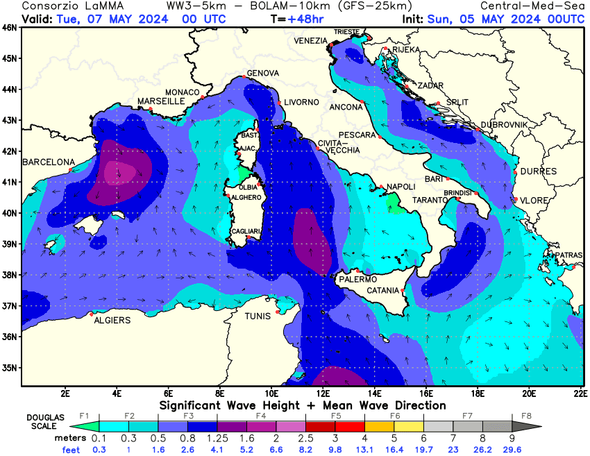 Previsione altezza e direzione media dell'onda sul Mediterraneo Centrale +48h