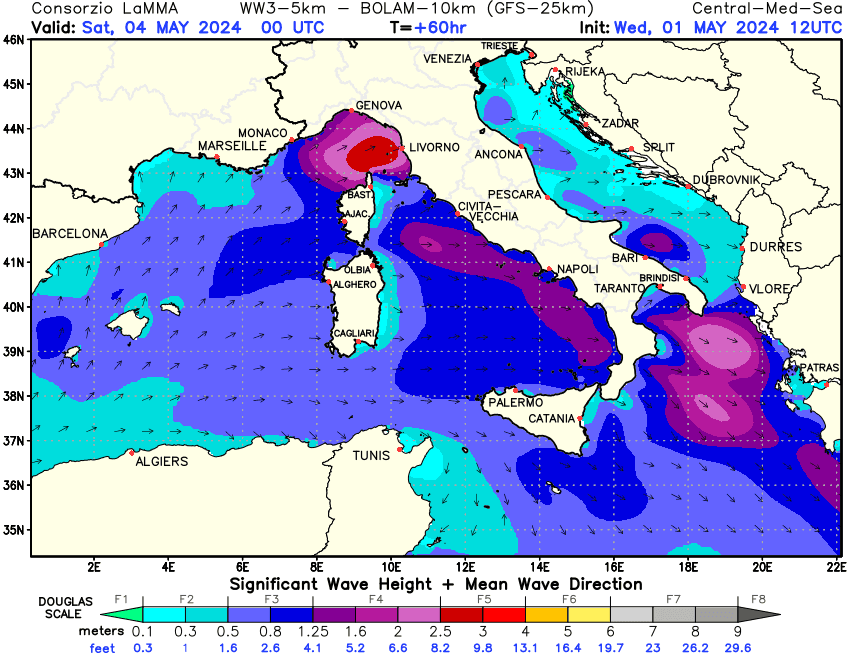 Previsione altezza e direzione media dell'onda sul Mediterraneo Centrale +60h