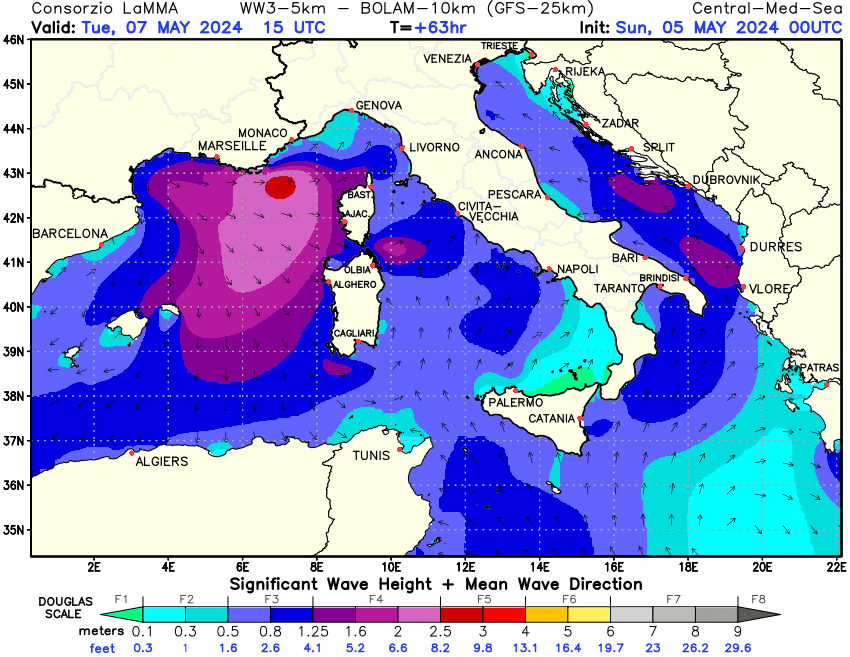 Previsione altezza e direzione media dell'onda sul Mediterraneo Centrale +63h