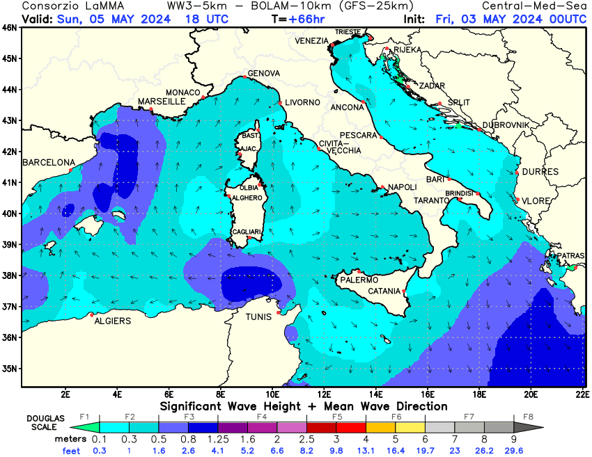 Previsione altezza e direzione media dell'onda sul Mediterraneo Centrale +66h