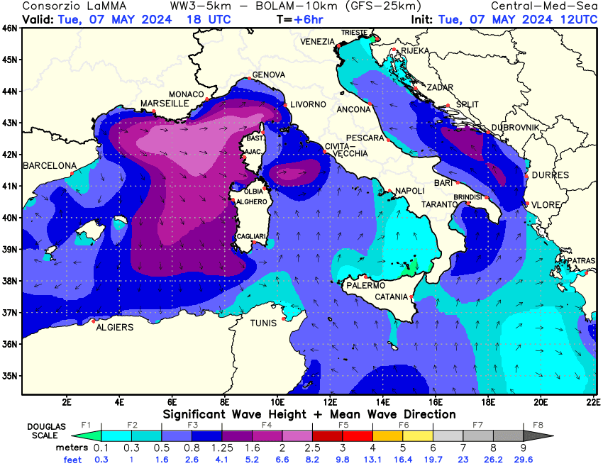 Previsione altezza e direzione media dell'onda sul Mediterraneo Centrale +06h