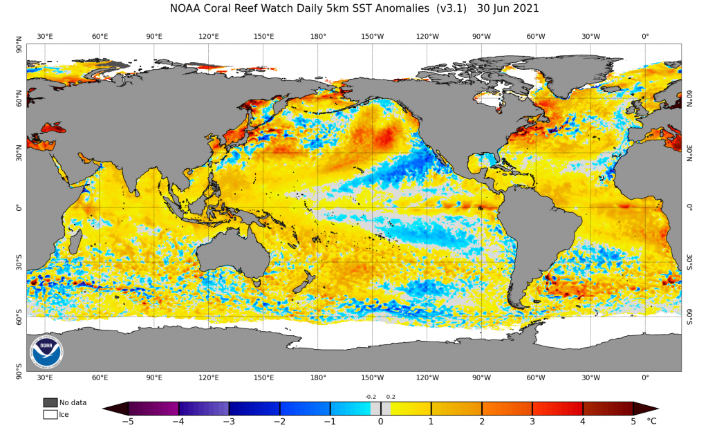NOAA SST anomalies 